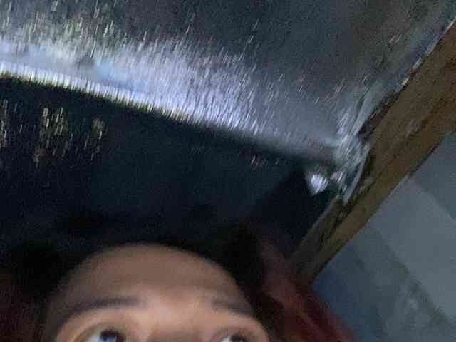 Rainie