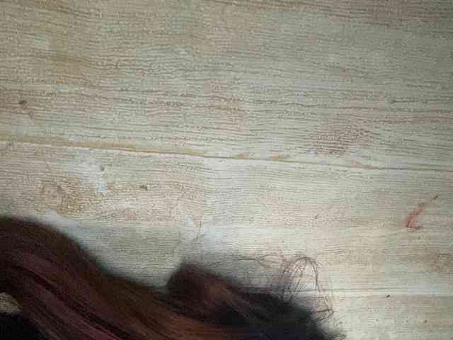 Rainie webcam