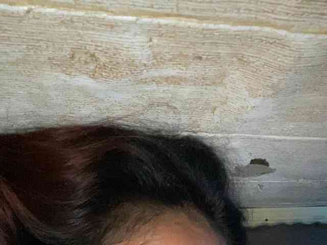 Rainie