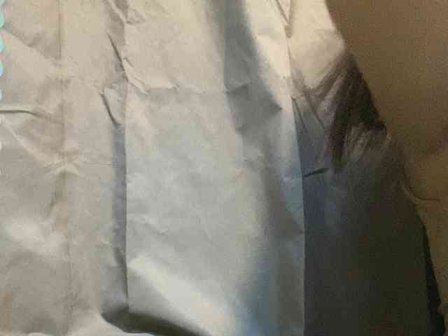 Rainie webcam