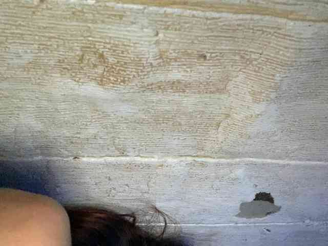 Rainie webcam