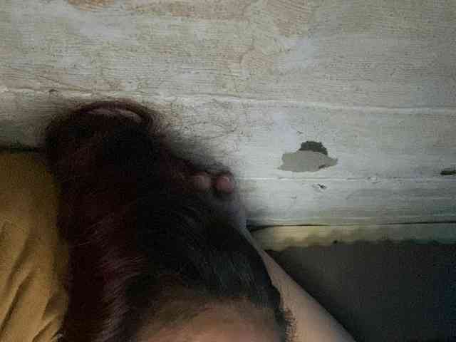 Rainie webcam