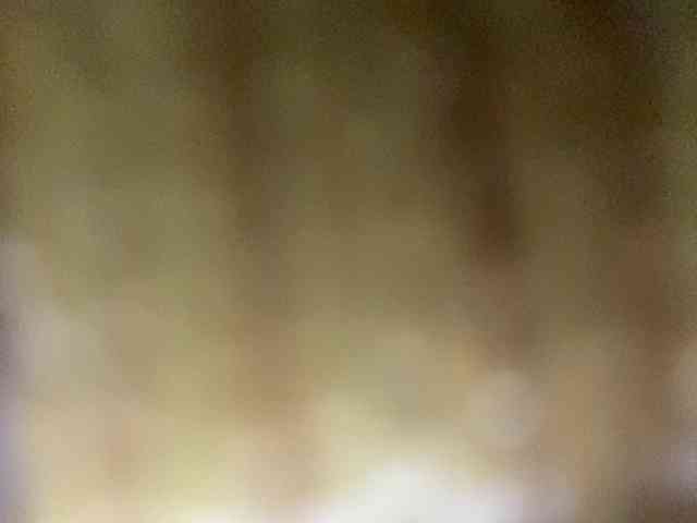 Rainie webcam