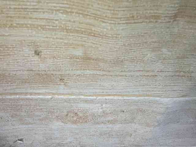 Rainie webcam