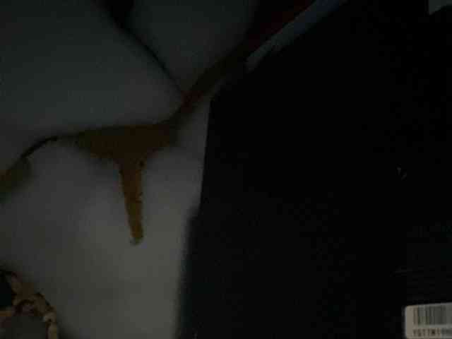 Rainie webcam