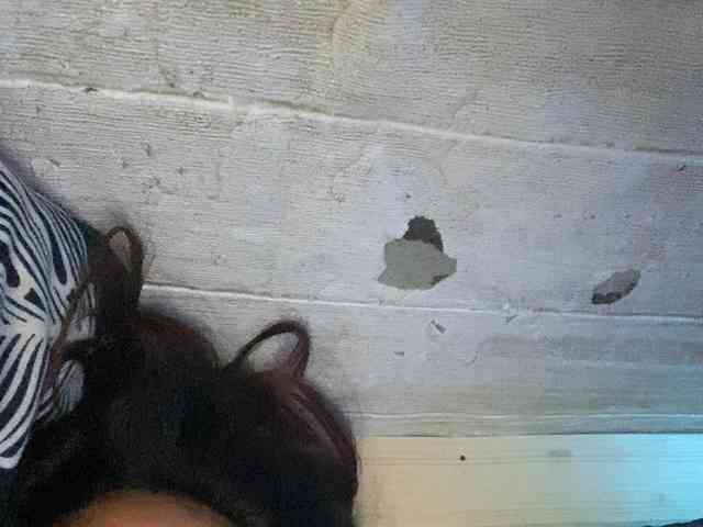 Rainie webcam