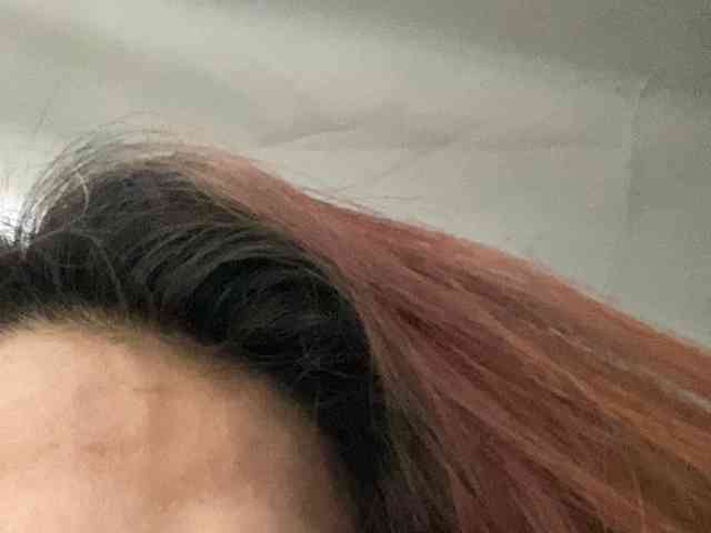 Rainie webcam