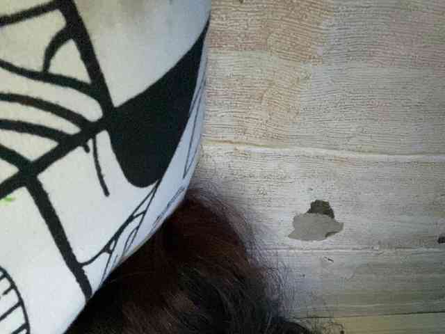 Rainie webcam