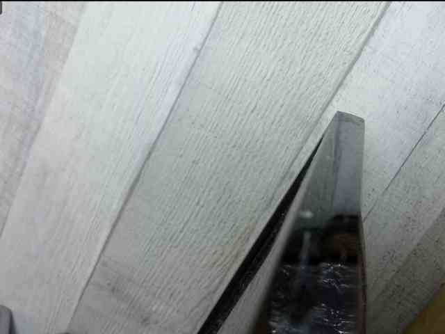 Rainie webcam