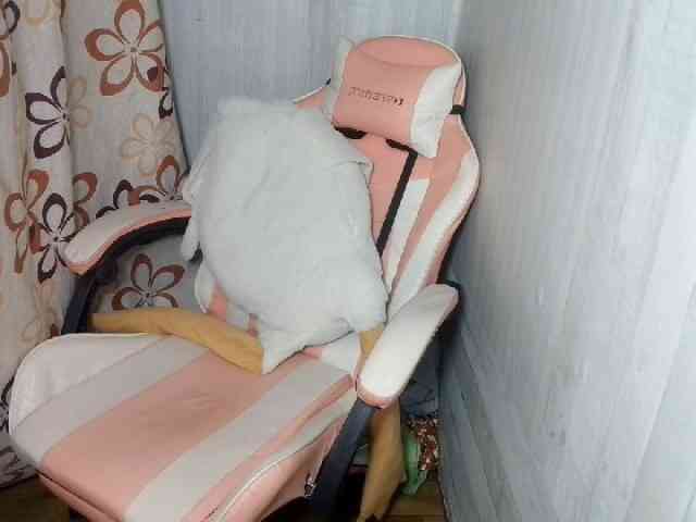 Rainie webcam