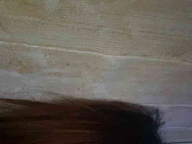 Rainie webcam