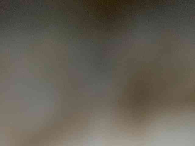 Rainie webcam