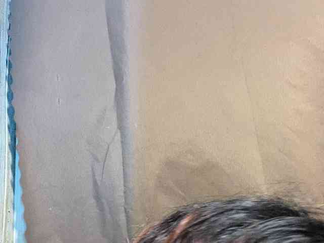 Rainie webcam