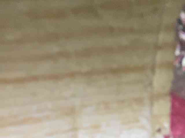 Rainie webcam