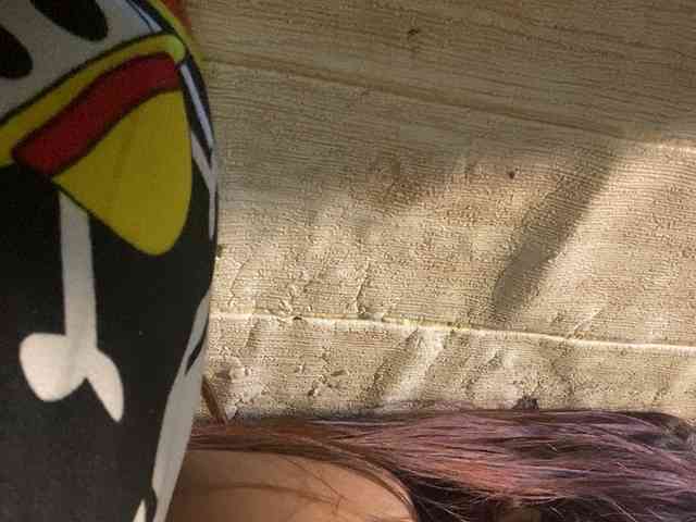 Rainie webcam