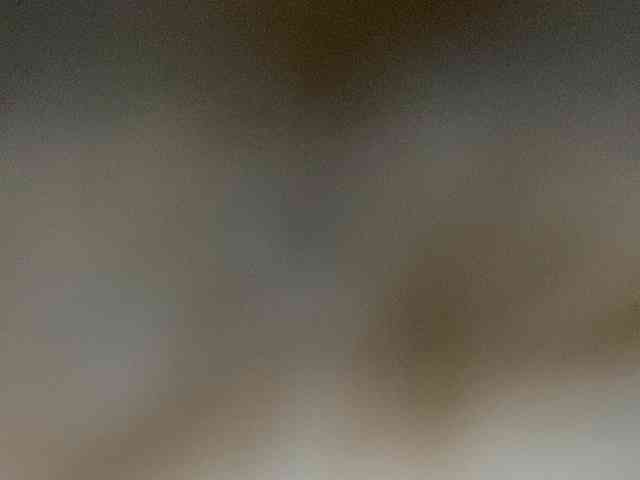 Rainie webcam