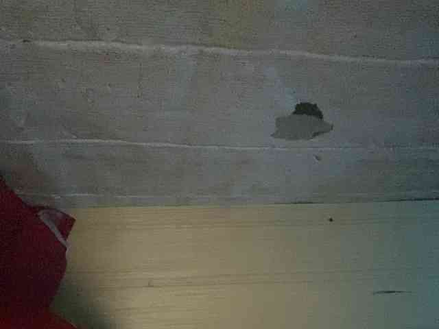 Rainie webcam