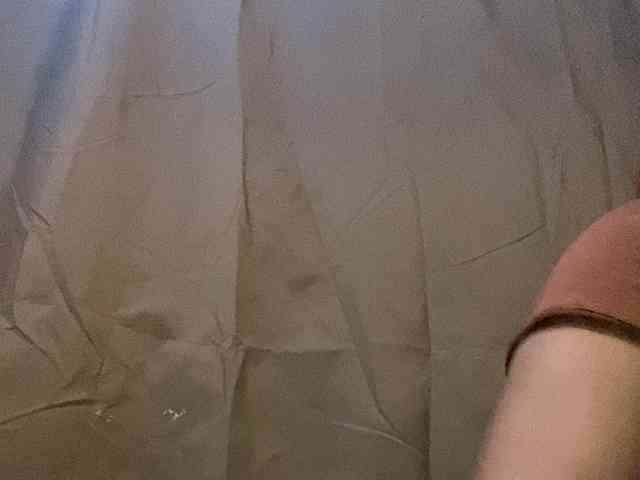Rainie webcam