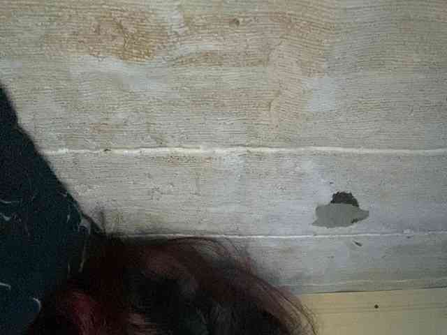 Rainie