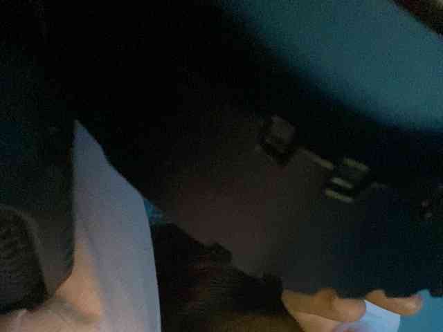 Rainie webcam