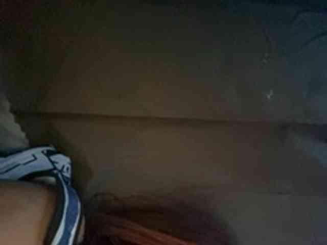 Rainie