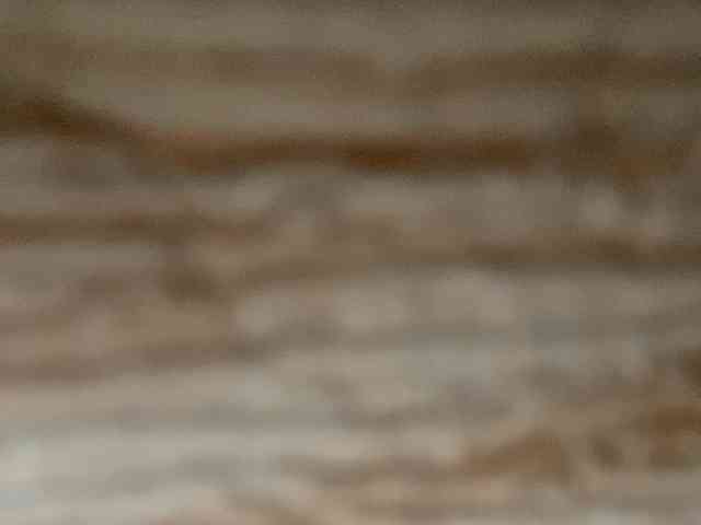 Rainie webcam