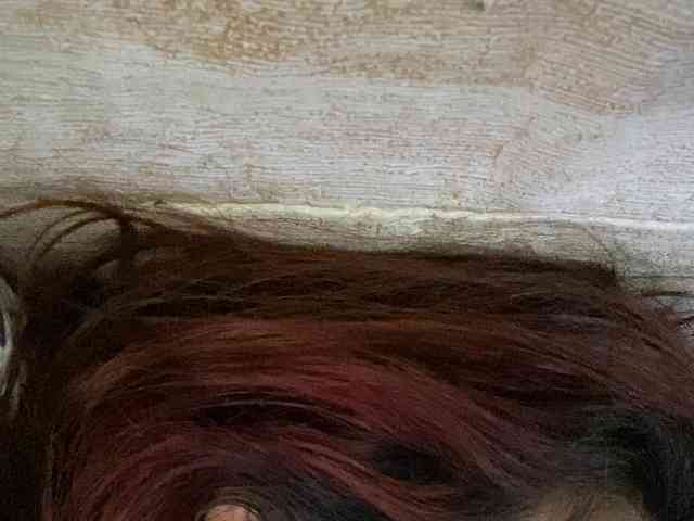 Rainie webcam
