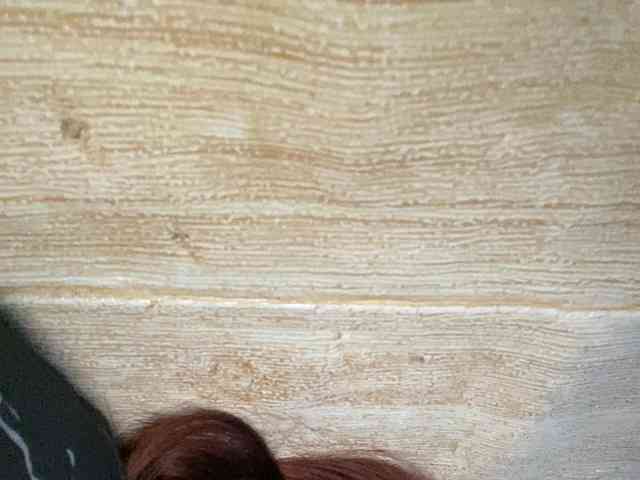 Rainie webcam