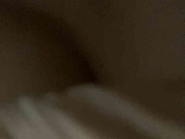 Rainie webcam
