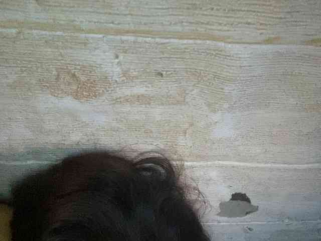 Rainie
