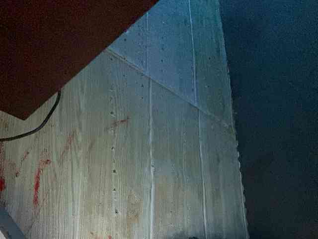 Rainie webcam