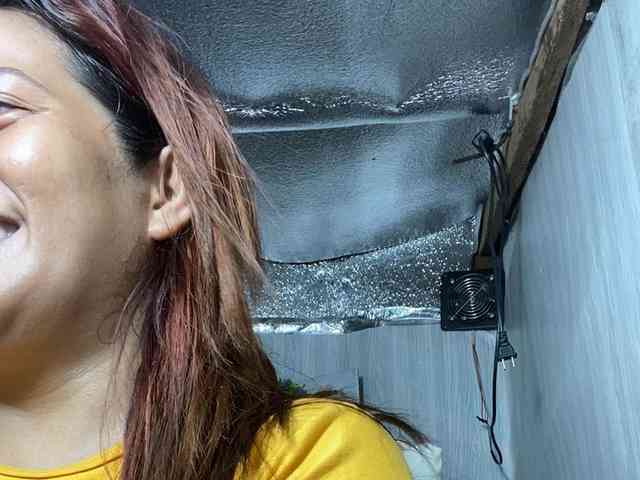 Rainie webcam
