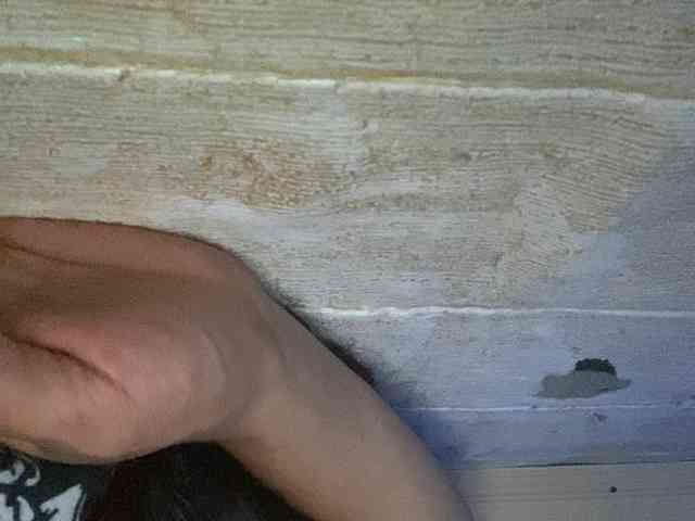 Rainie webcam