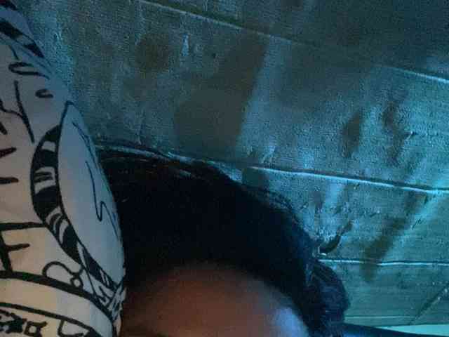 Rainie webcam