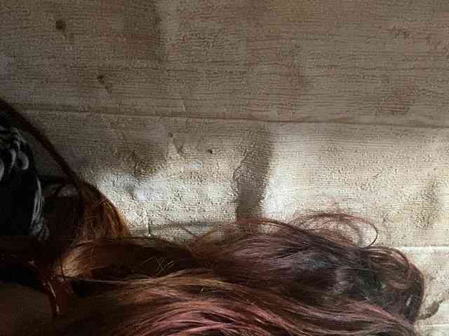 Rainie webcam