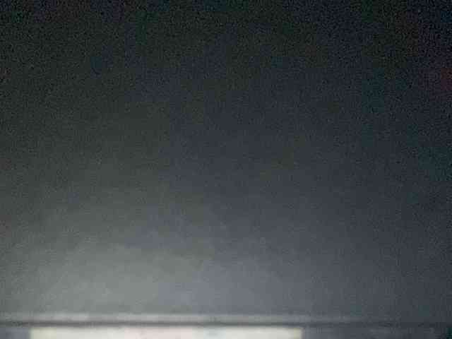 Rainie webcam