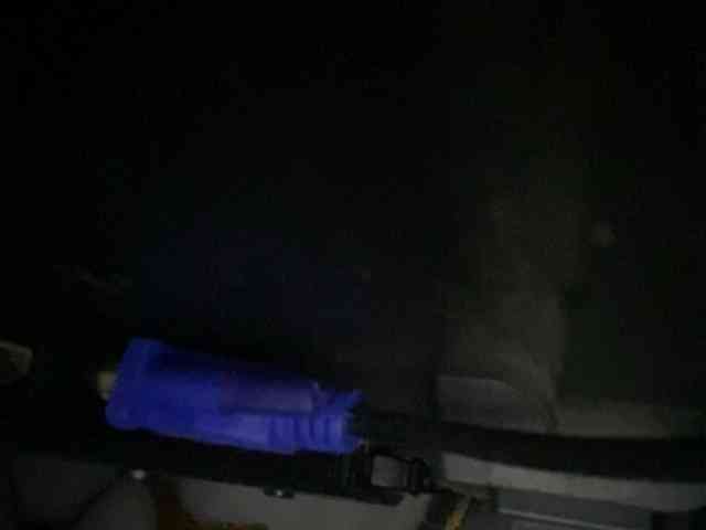 Rainie webcam