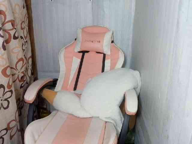 Rainie webcam