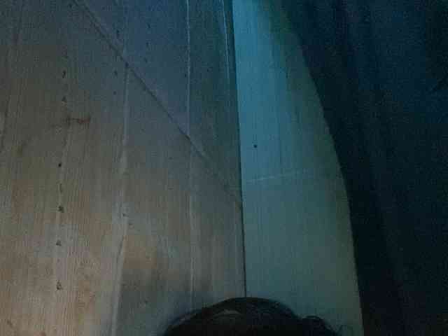 Rainie webcam