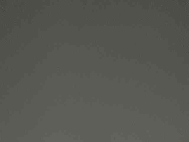 Rainie webcam