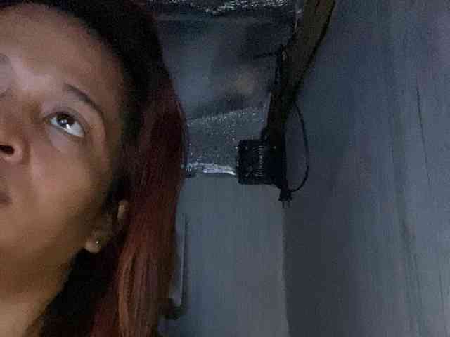 Rainie webcam