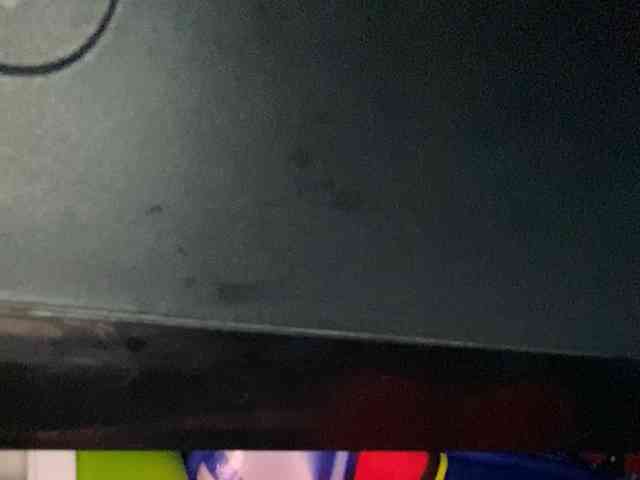 Rainie webcam