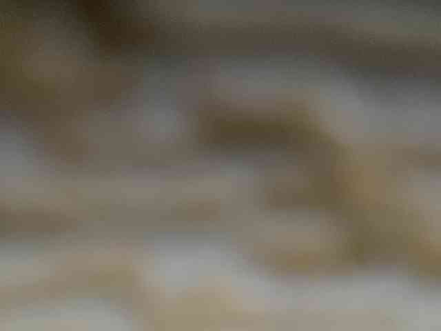 Rainie webcam