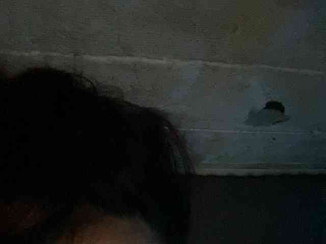 Rainie webcam