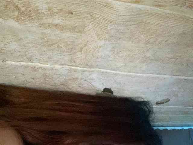 Rainie webcam
