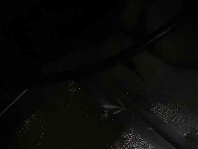 Rainie webcam