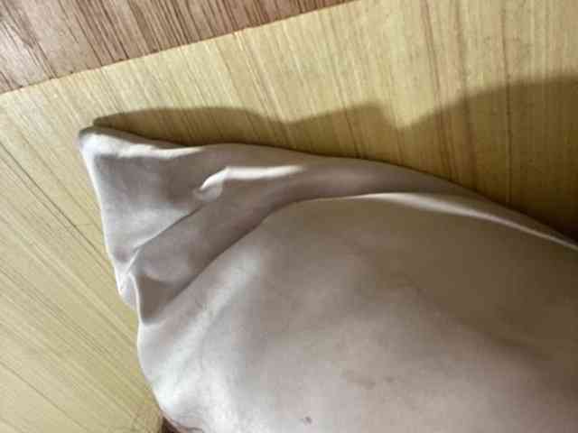 Rainie webcam