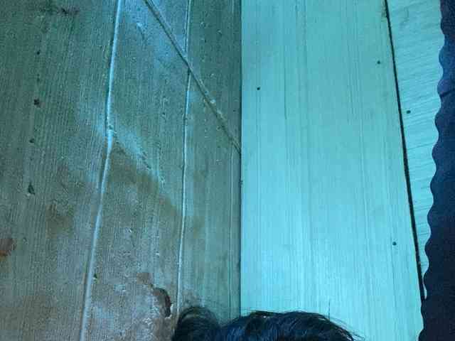 Rainie webcam