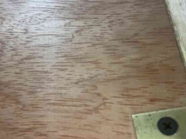 Rainie webcam