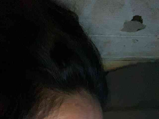 Rainie webcam